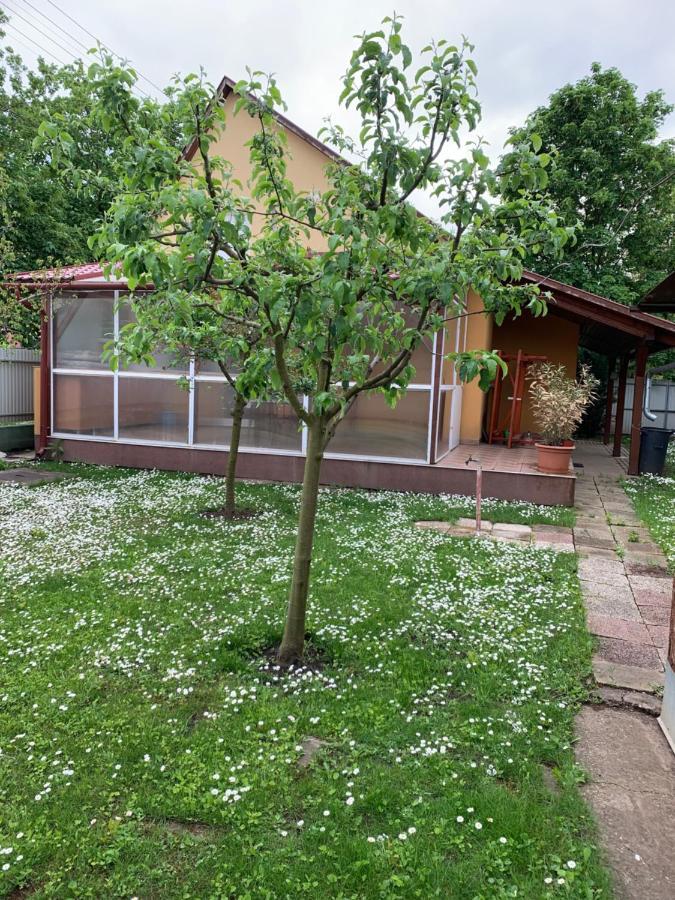 Eoetvoes Vendeghaz Villa Hajdúszoboszló Eksteriør bilde